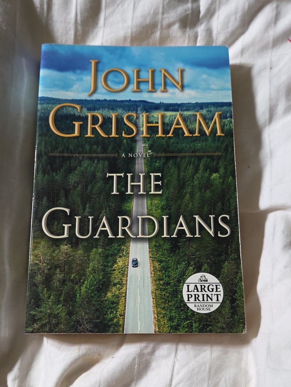 John Grisham, The Guardians, Soft Cover